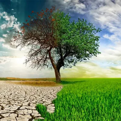 sifir-atik sifir-atik